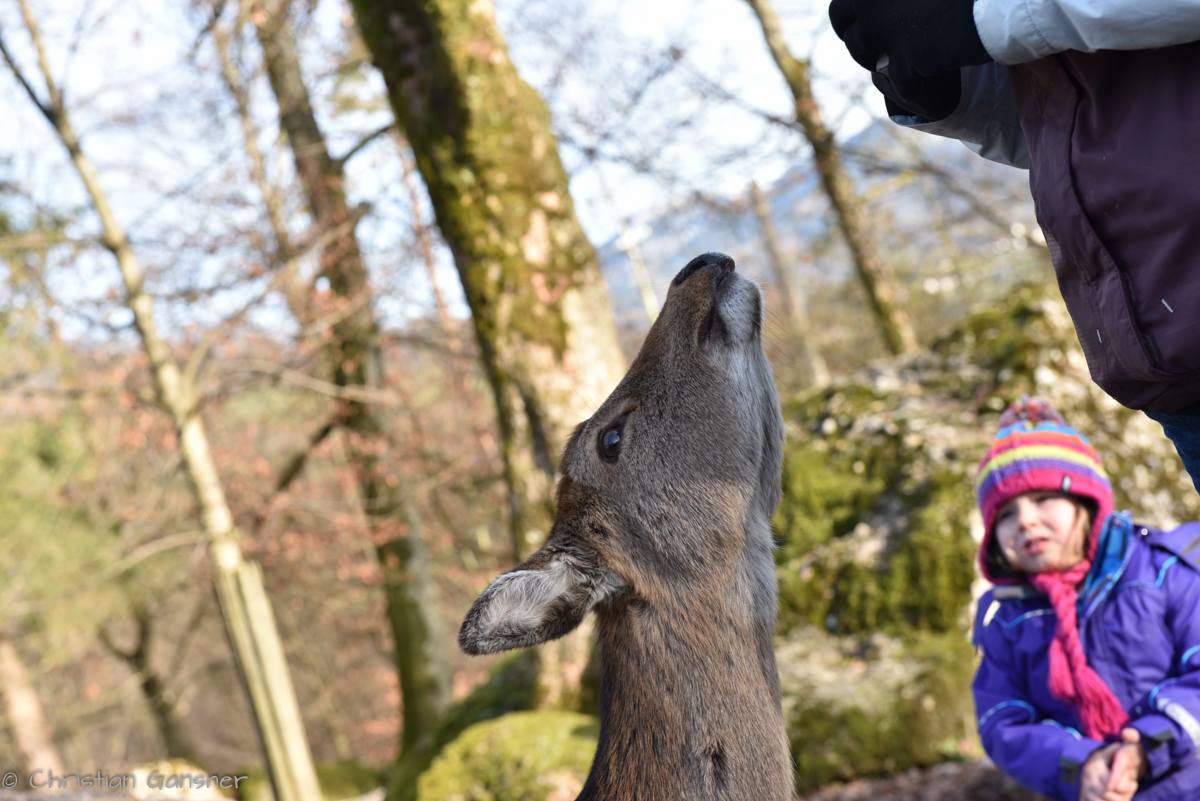 Bitte noch etwas Zuschlag