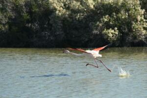 Take Off