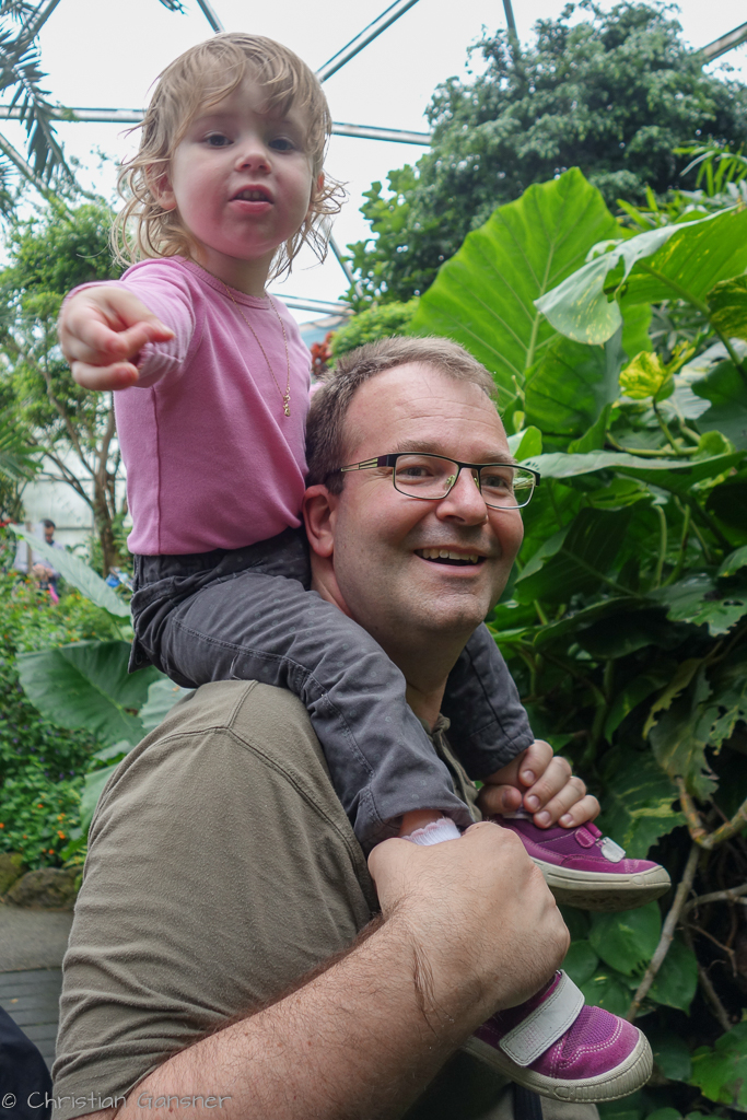 Im Papillorama gibts so viel zu sehen 