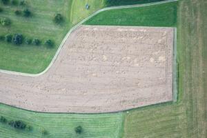 Spuren im Getreidefeld