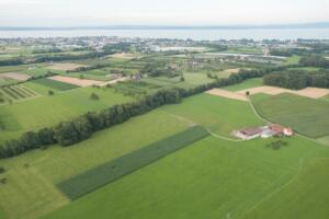 Landegebiet bei Steinebrunn