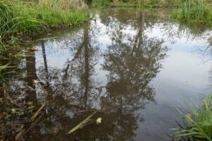 konstanter Wasserpegel