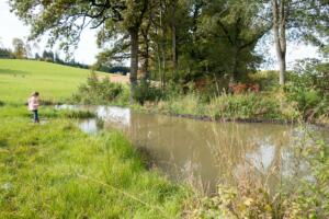 erstaunliche Fläche