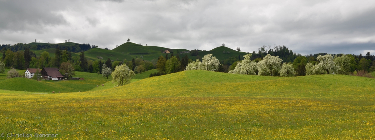 Frühlingsblust und Drumlins     