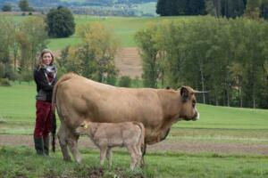 Mutterkuh mit Kalb und Silvia