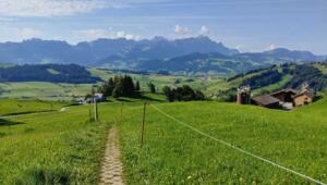 Aussicht nach Süden