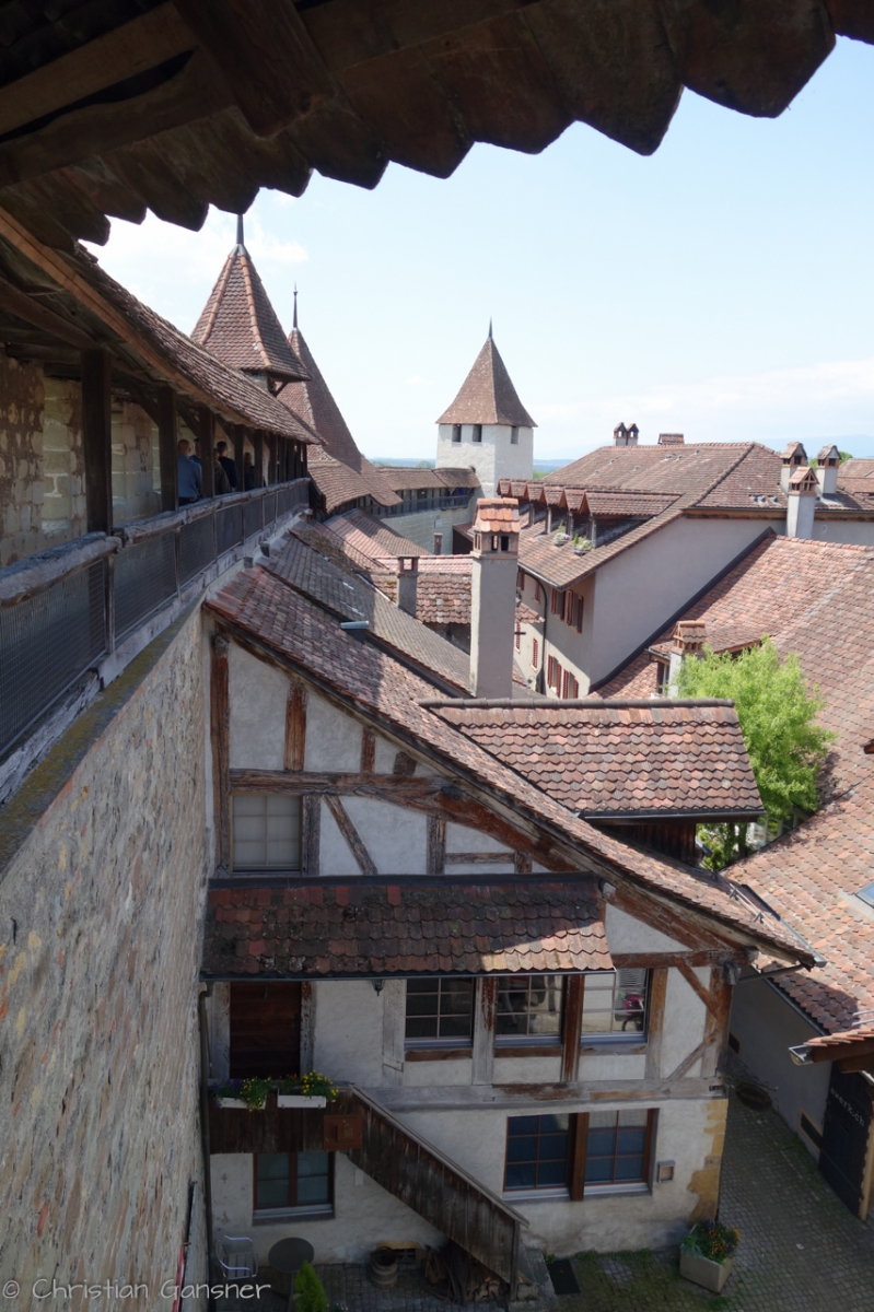 Murtens Stadtmauer -> Süden    