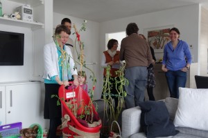 Kartoffeln im Februar